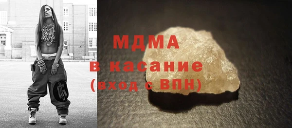 хмурый Аркадак