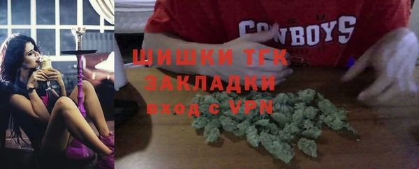 хмурый Аркадак