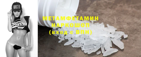 хмурый Аркадак