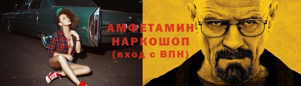 хмурый Аркадак