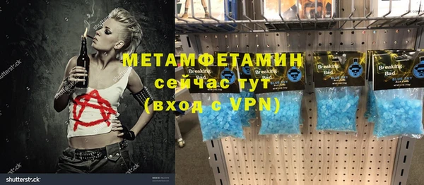 хмурый Аркадак