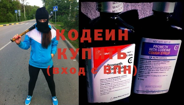 индика Ростов