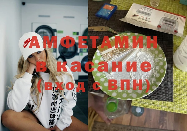 хмурый Аркадак