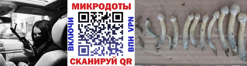 Псилоцибиновые грибы мицелий  Сураж 