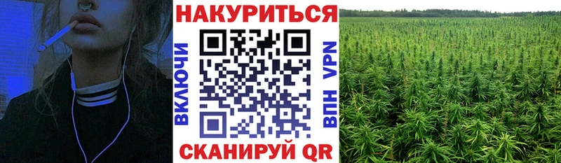 Канабис AK-47 KRAKEN сайт Сураж